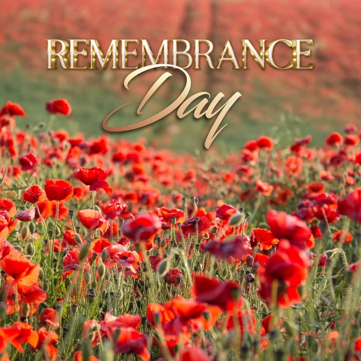 Featured image for “Remembrance Day 2025: Honouring Courage and Sacrifice at Illawarra Yacht Club”